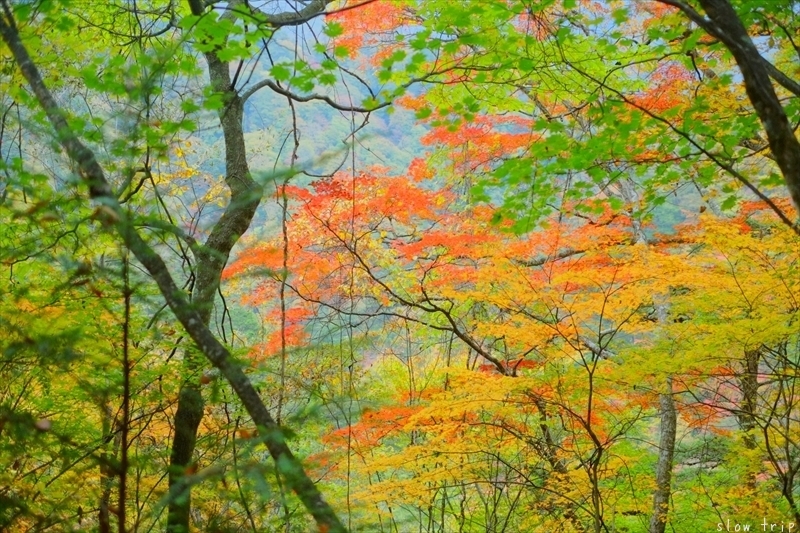 Autumn Hiking In Nishizawa Valley_c0228945_07410523.jpg