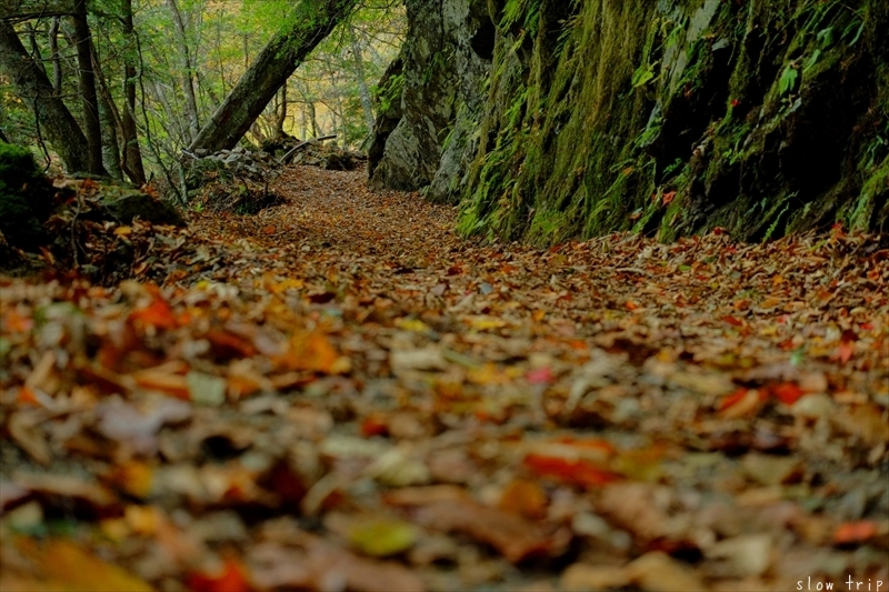 Autumn Hiking In Nishizawa Valley_c0228945_07421660.jpg