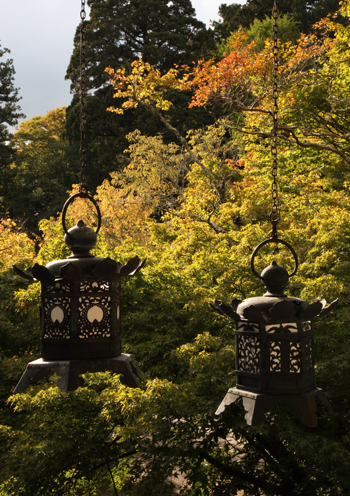 桜井市　談山神社　これから紅葉_c0108146_20363133.jpg