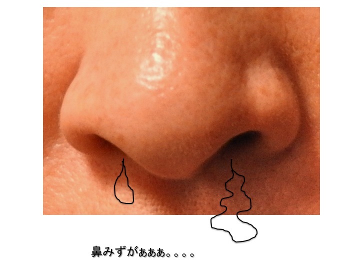 発表会の前はハラハラ。。。です_c0260460_09252162.jpg