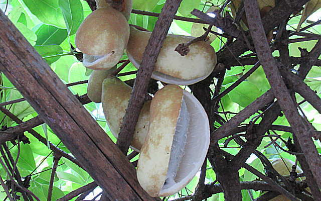 b0089062_2322767.jpg