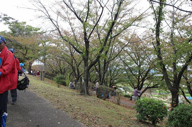 嵐山・木津川サイクリングロードウオーク③_b0044663_13311879.jpg