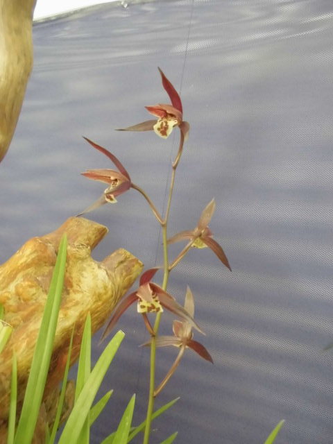 f0318967_13050500.jpg