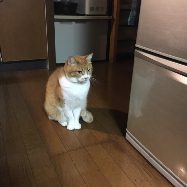 f0363168_22555176.jpeg
