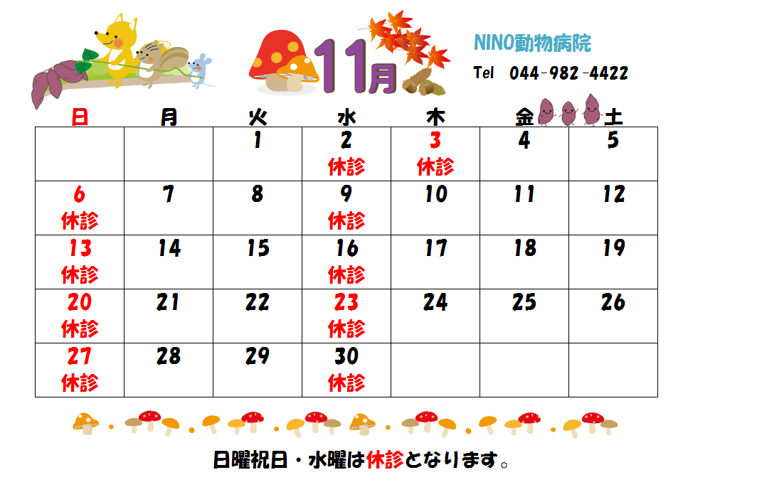 11月の診療日のお知らせ☆_e0288670_11122058.png