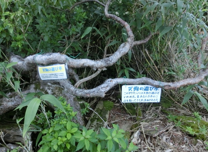 b0185573_13068.jpg