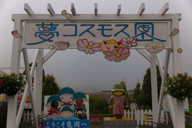 亀岡夢コスモス園_e0051888_4484319.jpg