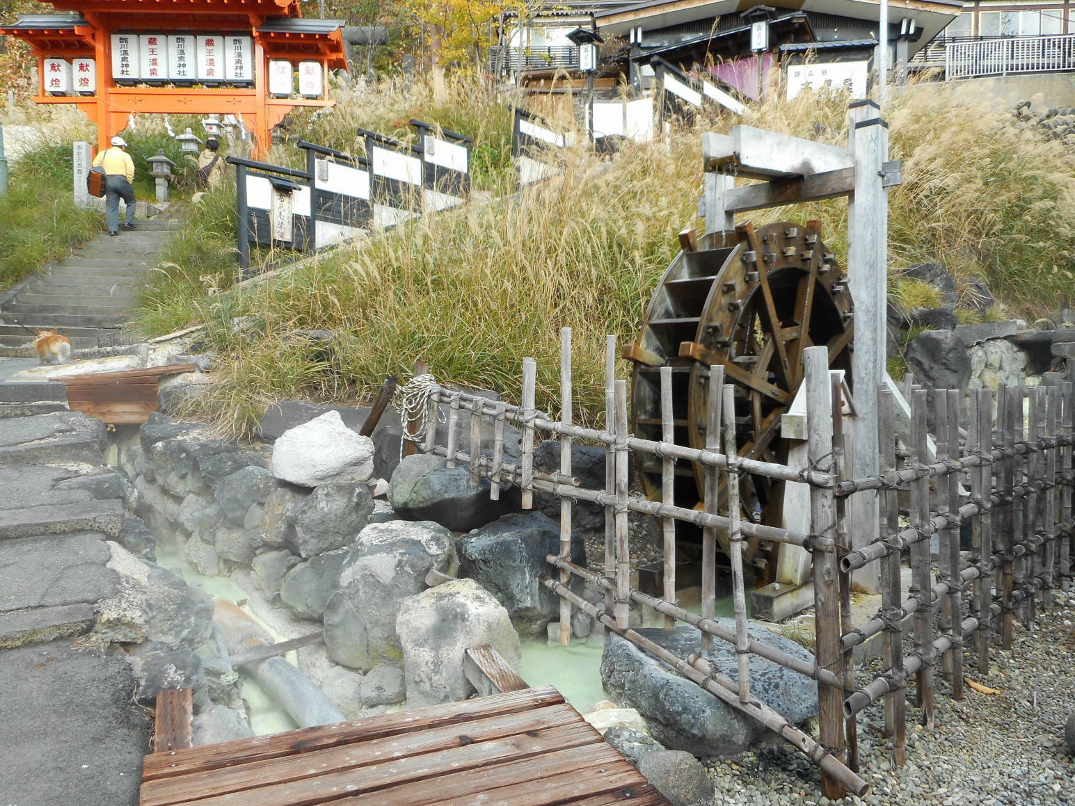 f0075595_20173915.jpg