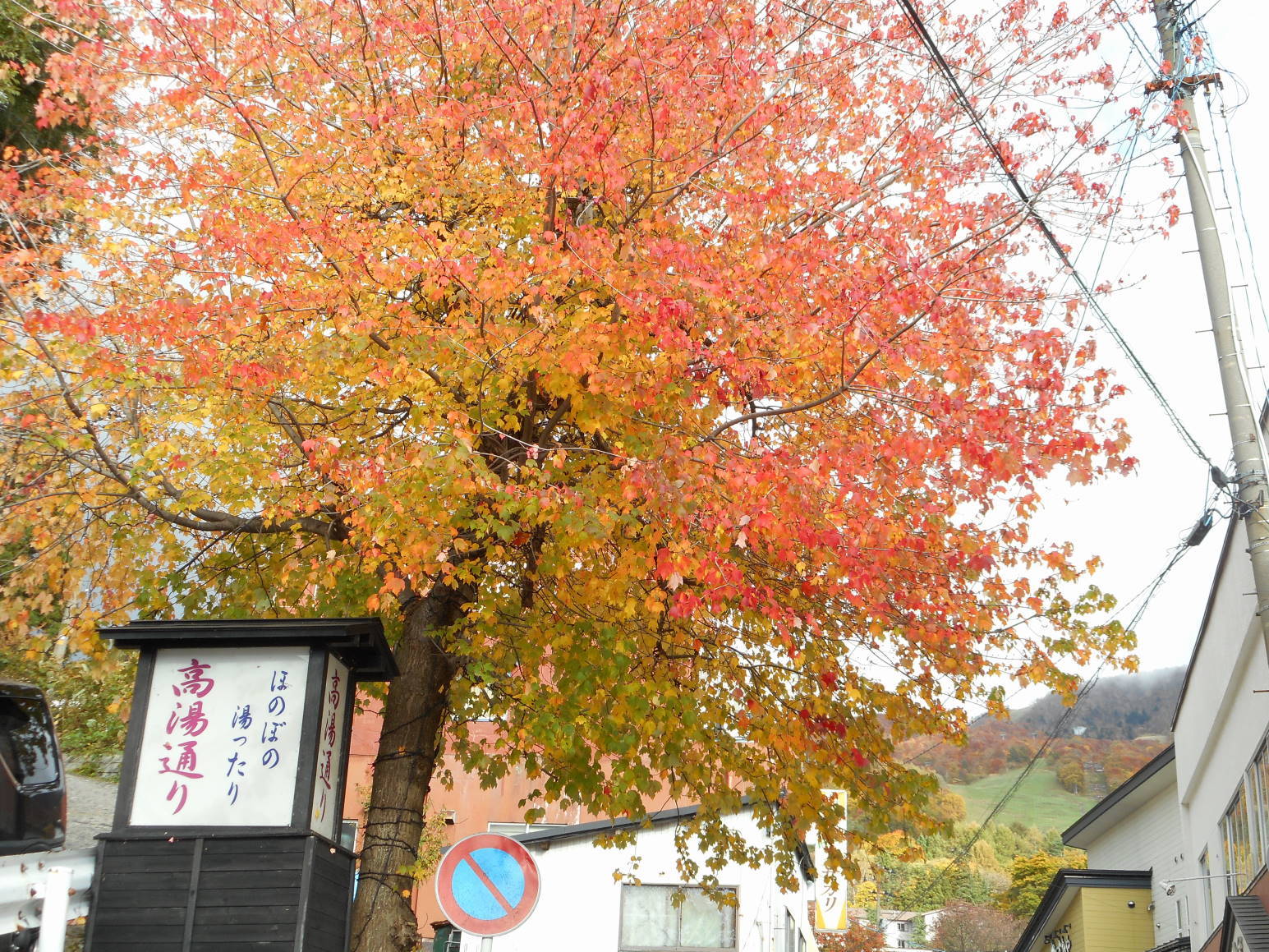 山形蔵王の紅葉だ_f0075595_20223536.jpg