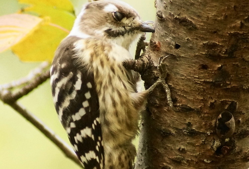 a0206496_15545061.jpg