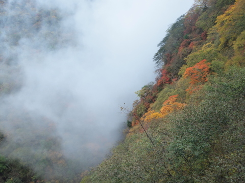 秋のお出かけ･･････日光２_b0331802_21485759.jpg