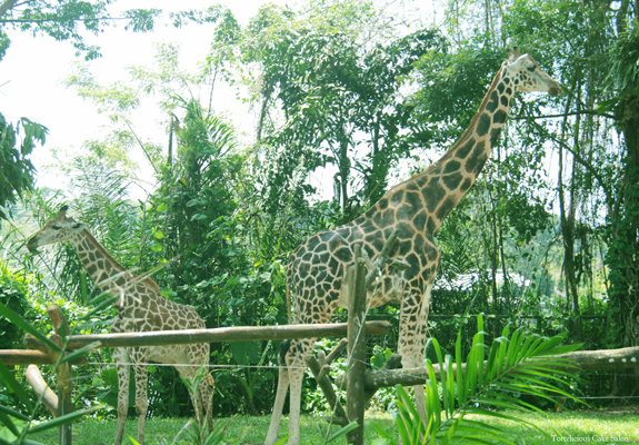 f0370305_17395087.jpg