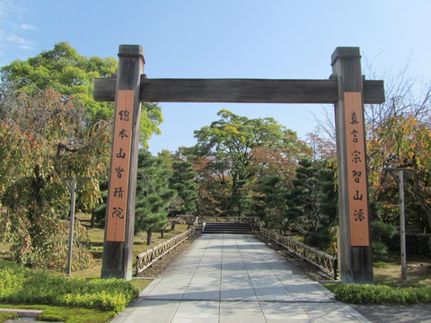 b0039007_20425174.jpg