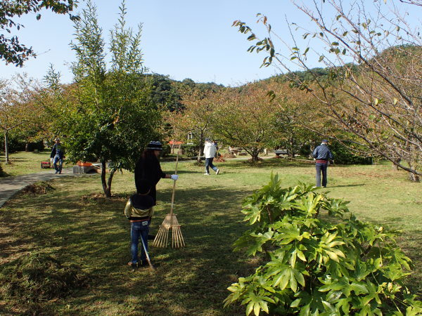 名勝和歌の浦クリーンアップ　和歌浦天満宮と御手洗池公園_c0367107_16210986.jpg