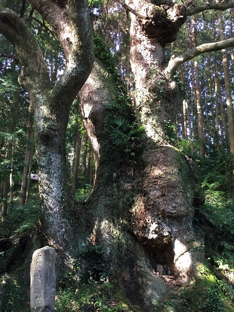 平山天満宮（福岡県宗像市）_f0364707_19433179.jpg