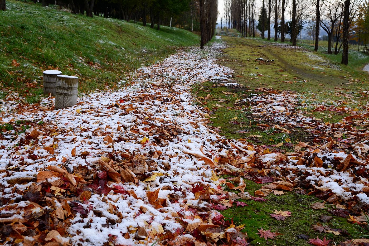 薄っすらと雪景色✮初冬近し✮2016.10.30_a0248508_12325298.jpg