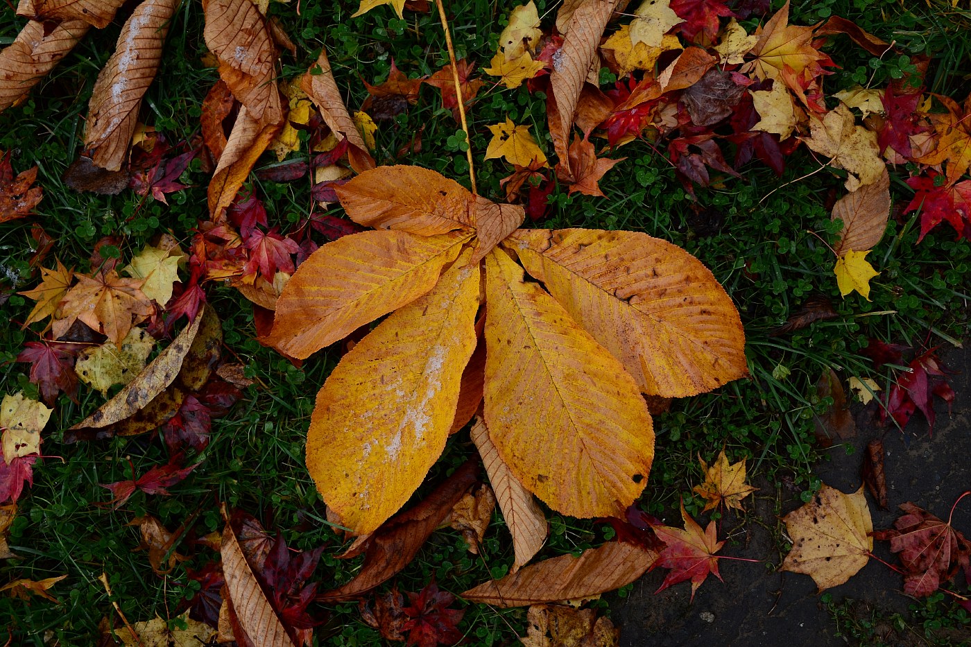 a0248508_1261458.jpg