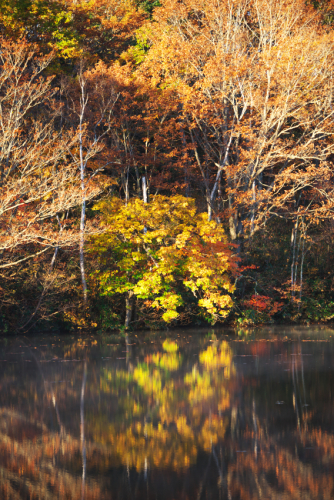 戸隠高原　鏡池の紅葉3_a0263109_18022135.jpg