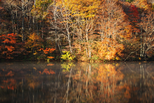 戸隠高原　鏡池の紅葉3_a0263109_18055197.jpg