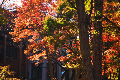 奥日光　中禅寺金谷ホテルの紅葉2_a0263109_19394444.jpg