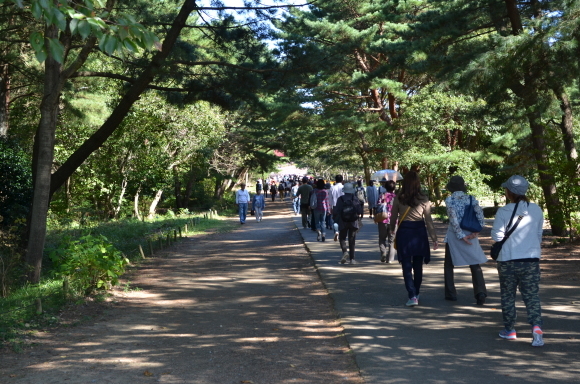 b0301412_21551506.jpg