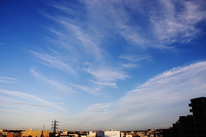フォト俳句 しらす雲 巻雲の俗称 日々の風景