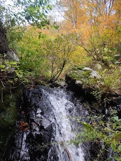 秋色を求めて、池ノ又谷から夜叉姫岳（1206m峰）_c0359615_21030607.jpg