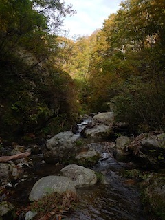 c0359615_21031767.jpg