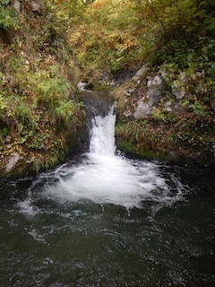 秋色を求めて、池ノ又谷から夜叉姫岳（1206m峰）_c0359615_21032872.jpg