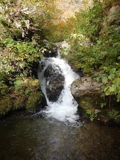 秋色を求めて、池ノ又谷から夜叉姫岳（1206m峰）_c0359615_21035575.jpg