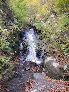 秋色を求めて、池ノ又谷から夜叉姫岳（1206m峰）_c0359615_21050264.jpg