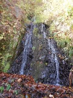 秋色を求めて、池ノ又谷から夜叉姫岳（1206m峰）_c0359615_21061654.jpg