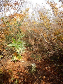 c0359615_21071614.jpg