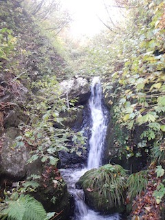 c0359615_21082341.jpg