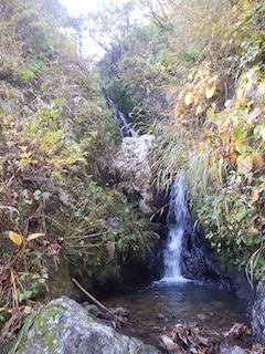 c0359615_21091900.jpg