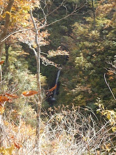 秋色を求めて、池ノ又谷から夜叉姫岳（1206m峰）_c0359615_21191898.jpg