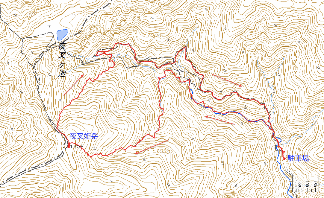 秋色を求めて、池ノ又谷から夜叉姫岳（1206m峰）_c0359615_21193642.gif