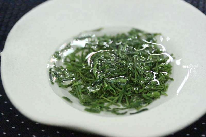 世界お茶まつり 2016_b0220318_04482066.jpg