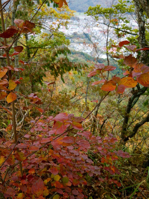 岩泉町を発つ前に宇霊羅山に登る_b0113219_14385344.jpg