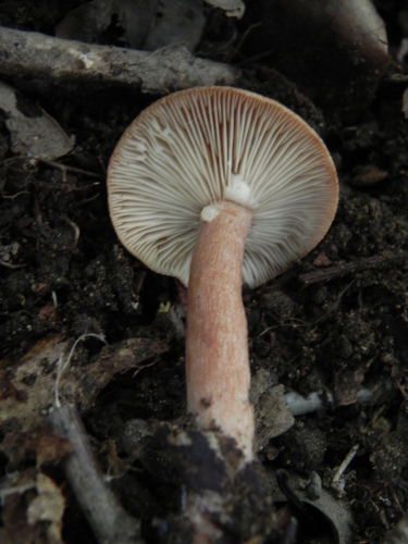 e0352220_20004469.jpg