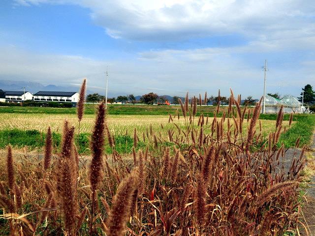 e0234924_08062112.jpg