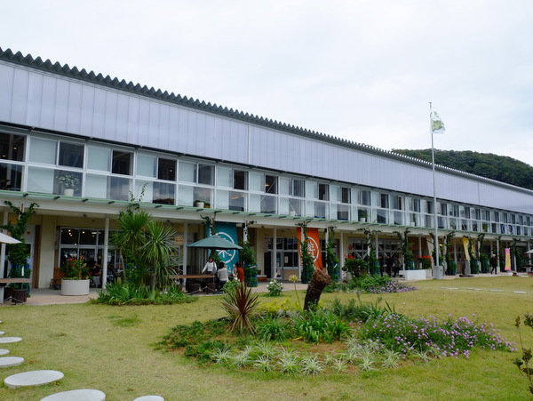 「千葉・鋸南町&南房総市 落花生収穫体験とくすの木郷土料理ランチ」_a0000029_22244797.jpg