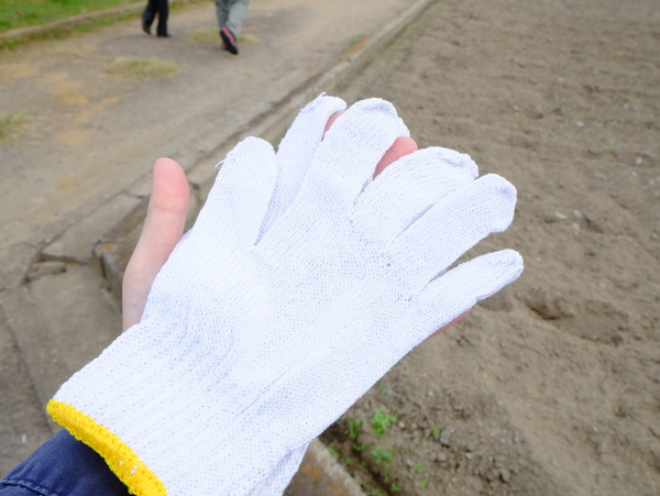 「千葉・鋸南町&南房総市 落花生収穫体験とくすの木郷土料理ランチ」_a0000029_2265730.jpg