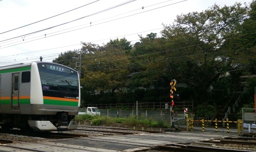 東海道線・大仙寺踏切_f0254429_21343769.jpg