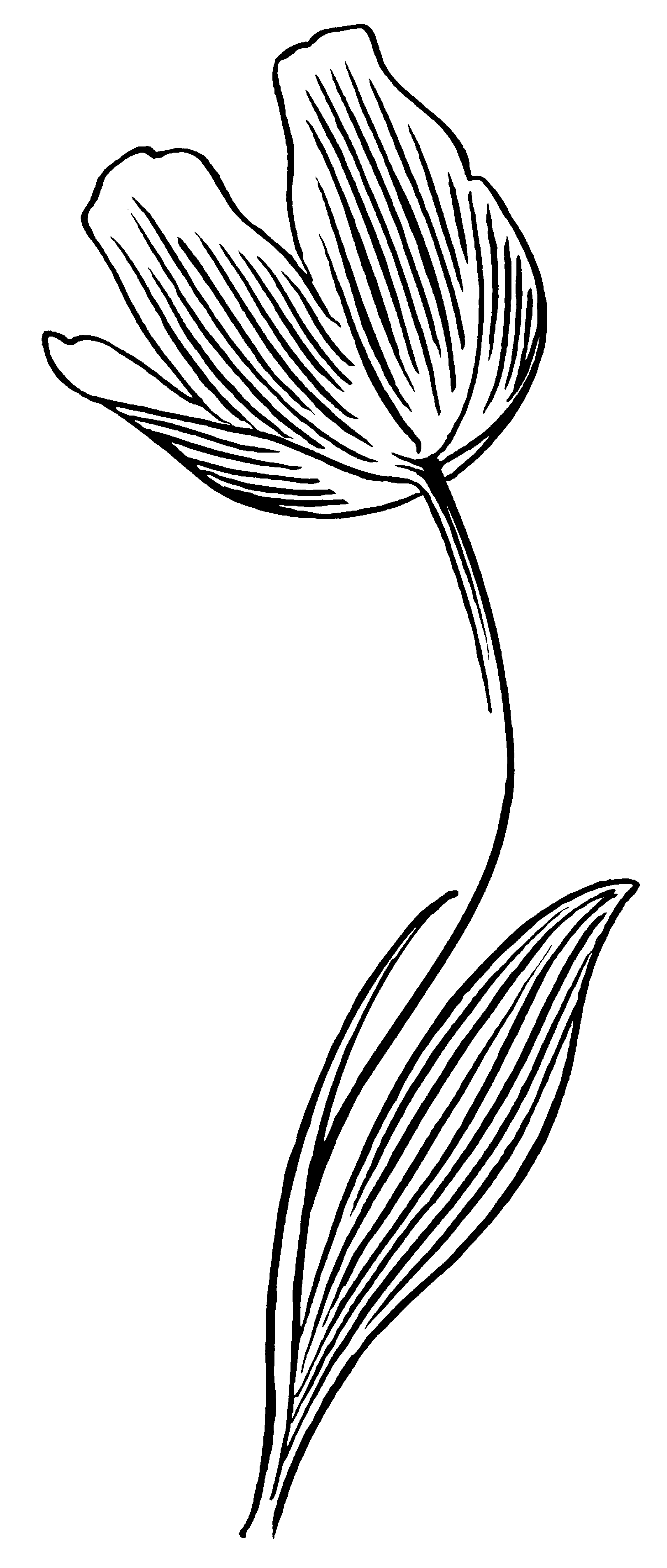 e0278631_08013983.gif