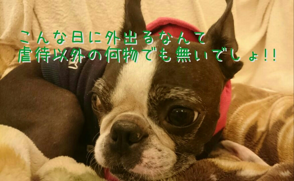 人聞きが悪いぞ むるぐ