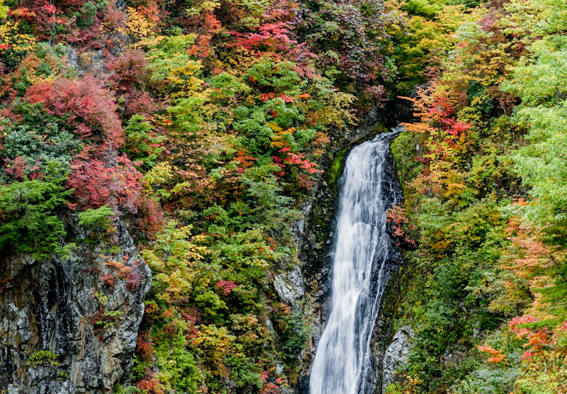 平ヶ岳、燧ケ岳中途半端に行って来ました。_e0341336_22505908.jpg