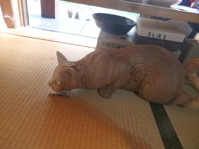 うさぎと猫に会いに行く_a0054240_2114129.jpg