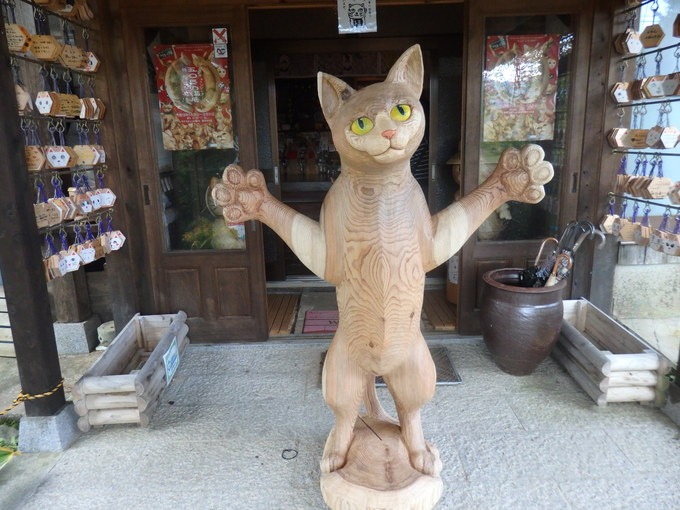 うさぎと猫に会いに行く_a0054240_21182126.jpg