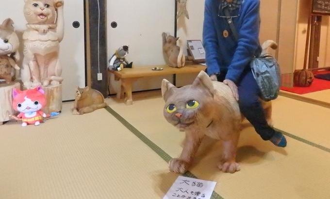 うさぎと猫に会いに行く_a0054240_21222958.jpg